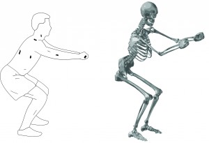 Musculoskeletal model of the lower limb used in the Monte Carlo simulations